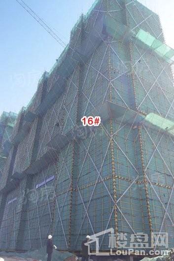 宝信润山御林实景图