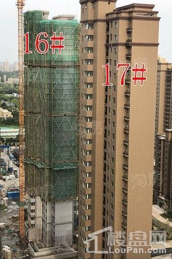 保利鑫城实景图
