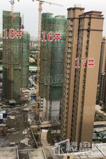 保利鑫城实景图