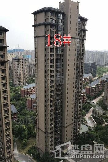 保利鑫城实景图