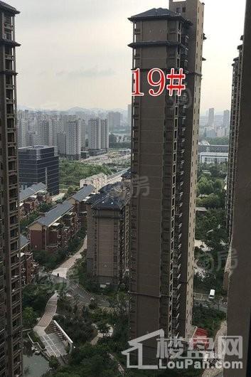 保利鑫城实景图