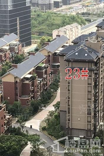 保利鑫城实景图