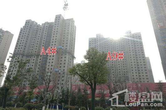 荣盛·花语城实景图