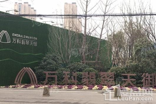 万科翡翠天御实景图