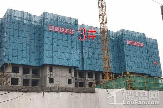 万科翡翠天御实景图