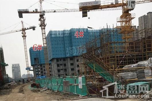 实景图