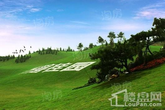 郑州碧桂园实景图