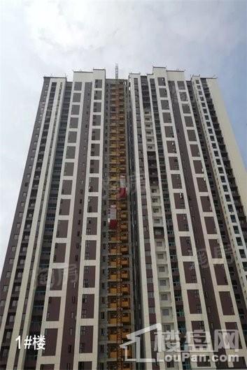 美景麟起城实景图
