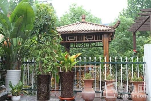 蓝天商务花园实景图