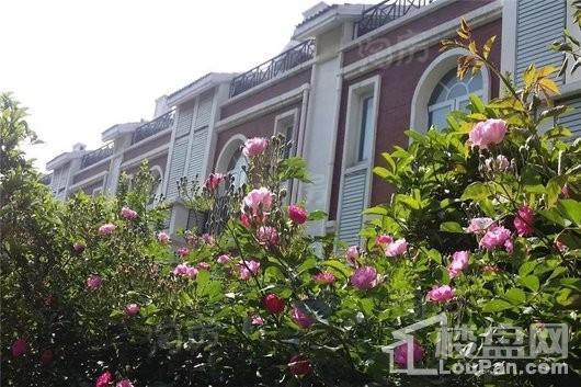 蓝天商务花园实景图