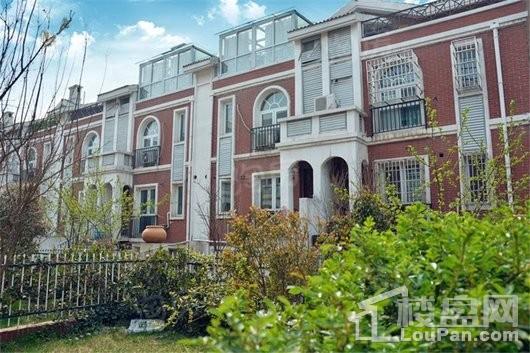 蓝天商务花园实景图
