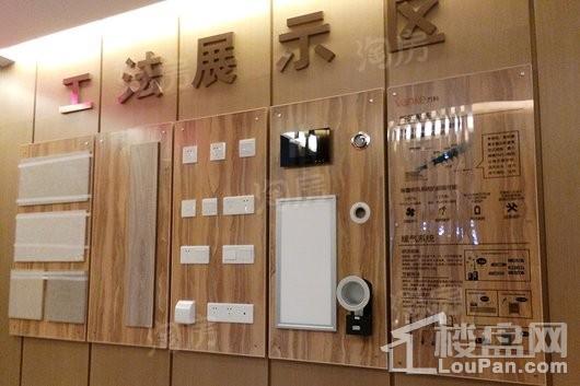 万科美景魅力之城实景图