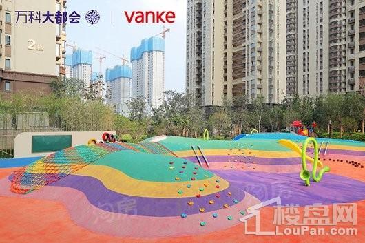 万科•大都会实景图