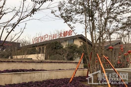万科•大都会实景图
