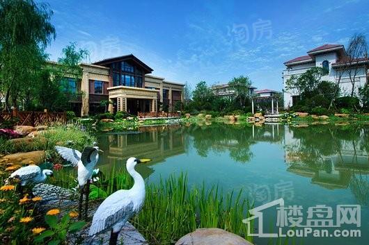 碧桂园凤凰湾实景图