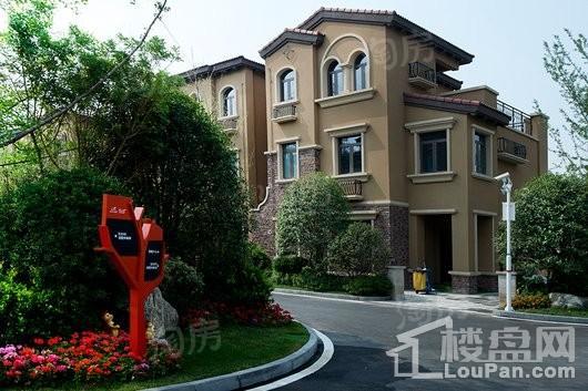 碧桂园凤凰湾实景图