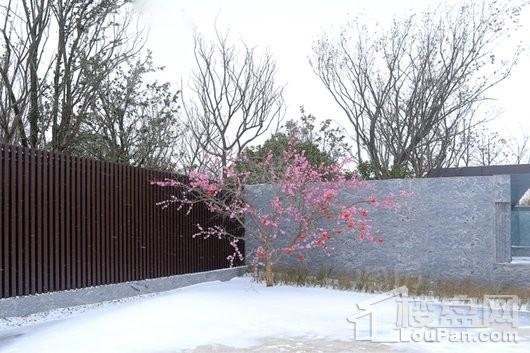 万科长基云庐实景图