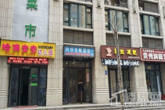 锦美南华府配套图