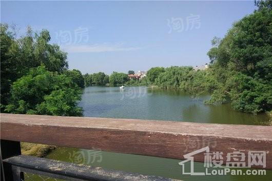 金沙湖高尔夫观邸实景图