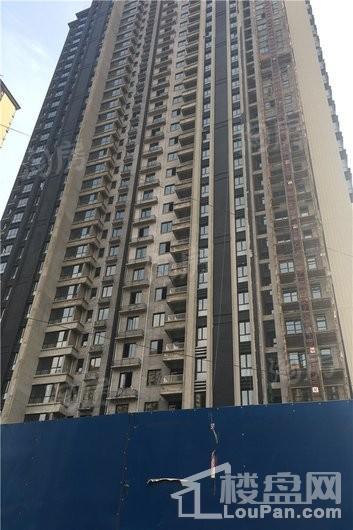 永恒理想世界实景图