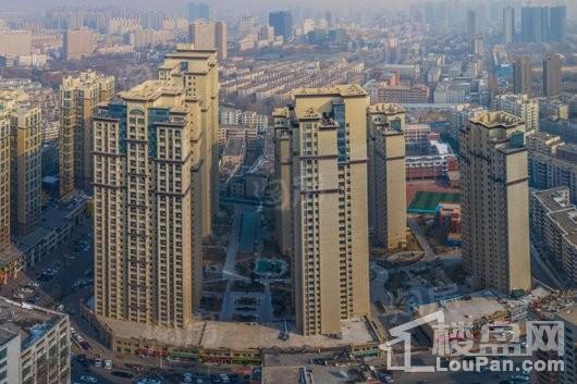 紫檀华都实景图