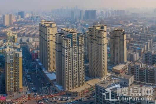 紫檀华都实景图