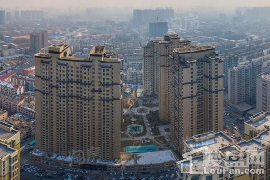 紫檀华都实景图