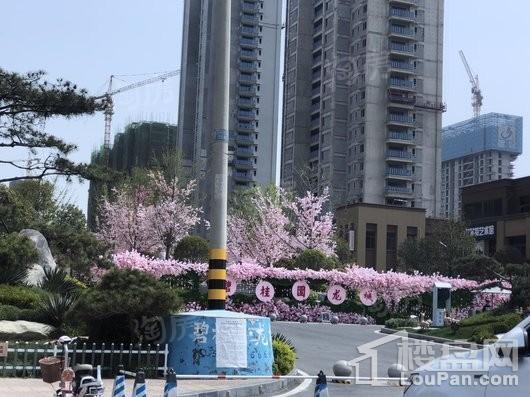 碧桂园龙城实景图