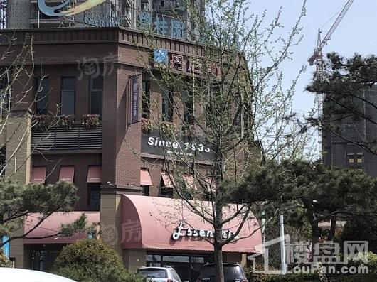碧桂园龙城配套图