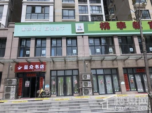 碧桂园龙城配套图