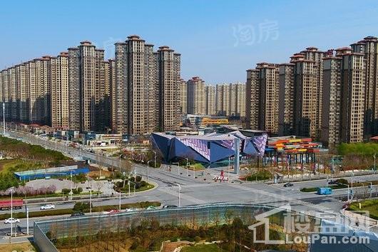 实景图