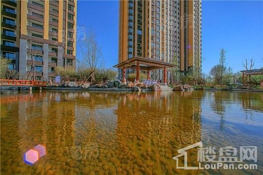 未来华庭实景图