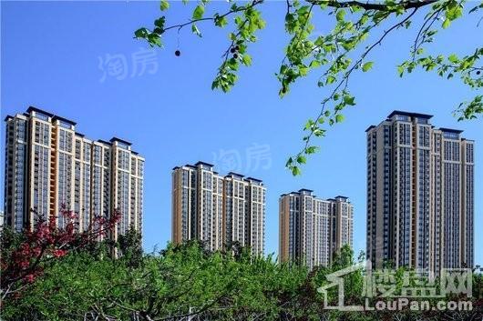 未来华庭实景图