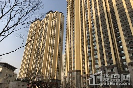 未来华庭实景图