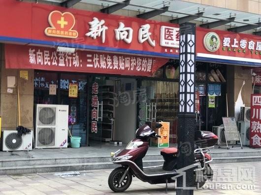 未来华庭配套图