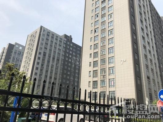 金玺总部港实景图
