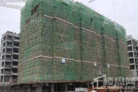 碧桂园西湖实景图