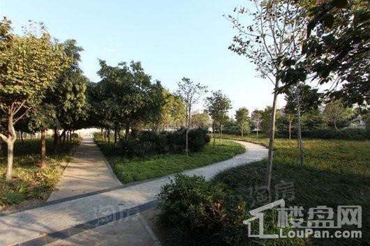 碧桂园西湖配套图