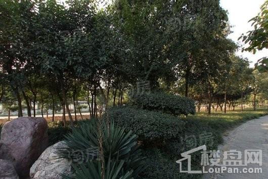 碧桂园西湖配套图