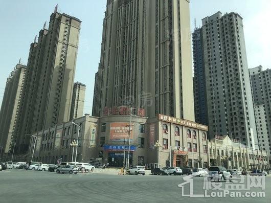 建海绿荫半岛实景图
