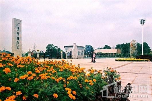 建海绿荫半岛配套图