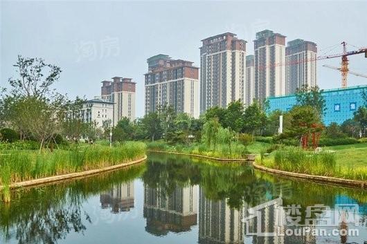 碧源月湖实景图