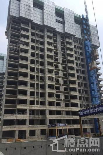 豫发国园玖号院实景图