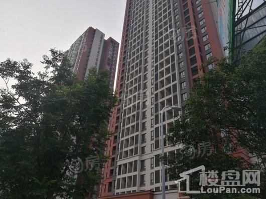 金地格林小城实景图