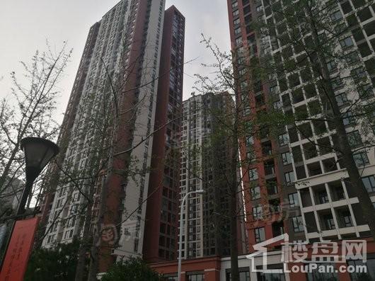 金地格林小城实景图