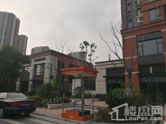 金地格林小城实景图