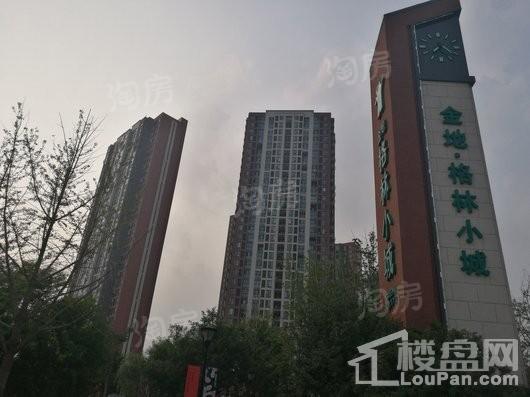 金地格林小城实景图