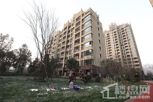 郑西鑫苑名家实景图