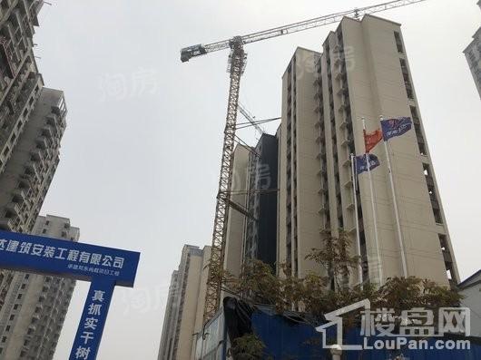 郑东尚庭实景图