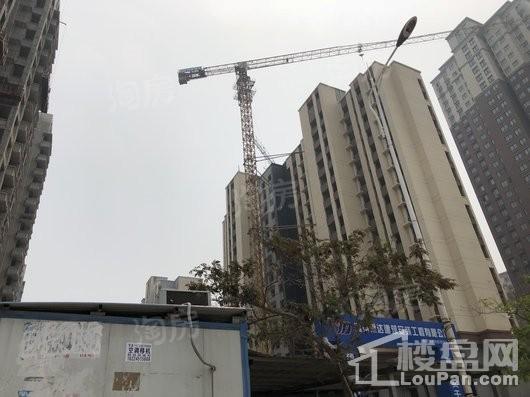 郑东尚庭实景图